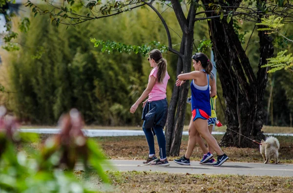 Sport Rust Het Stadspark Brazilië — Stockfoto