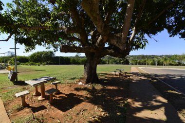 Deck Sul Park gündüz, Brezilya