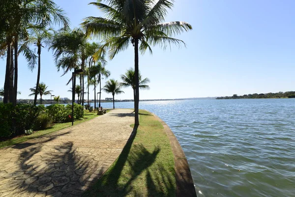 Jezero Palubě Sul Park Brazílie — Stock fotografie