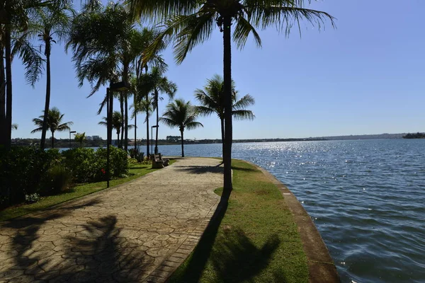Jezero Palubě Sul Park Brazílie — Stock fotografie