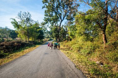 Myanmar 'da gündüz görüntüsü