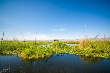 Myanmar 'da göl manzarası