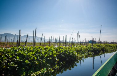 Myanmar 'da göl manzarası