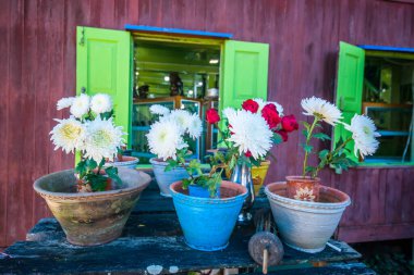 Myanmar 'da gündüz görüntüsü