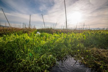 Myanmar 'da göl manzarası