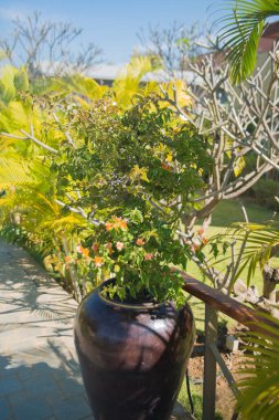 Myanmar 'daki fabrikalara yakın çekim. Inle Gölü. Göl