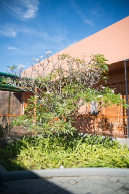 Myanmar 'da göl manzarası