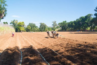 Myanmar 'da gündüz görüntüsü