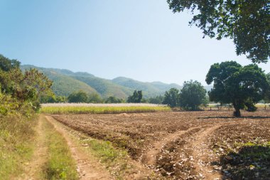 Myanmar 'da gündüz görüntüsü