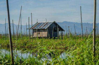 Myanmar 'da göl manzarası
