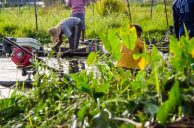 Myanmar, inle gölünde insanlar var. 