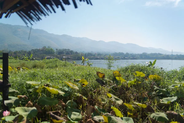 Blick Auf Den Inle See Myanmar — Stockfoto