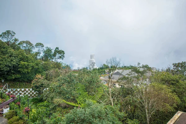 Vista Panorâmica Vegetação Monumento Buda Sunworld Hills Park — Fotografia de Stock