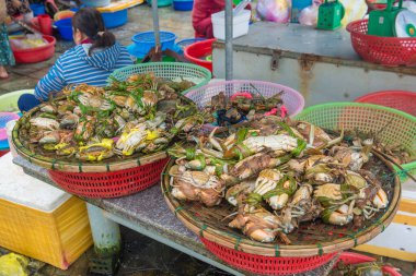 Vietnam. Hoi An. Şehrin güzel bir manzarası.