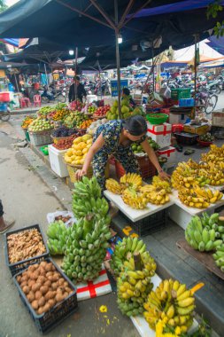 Vietnam. Hoi An. Şehrin güzel bir manzarası.