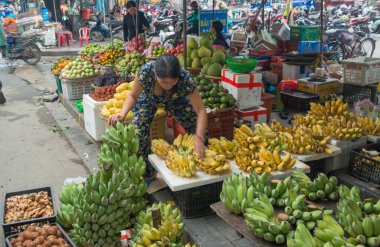 Vietnam. Hoi An. Şehrin güzel bir manzarası.