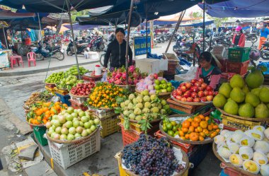 Vietnam. Hoi An. Şehrin güzel bir manzarası.