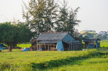 Vietnam. Hoi An. Şehrin güzel bir manzarası.