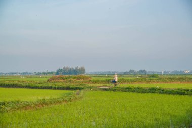 Vietnam. Hoi An. Şehrin güzel bir manzarası.