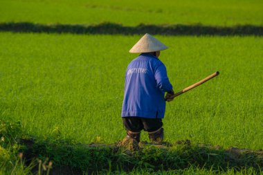 Vietnam. Hoi An. Şehrin güzel bir manzarası.