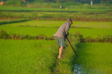 Vietnam. Hoi An. Şehrin güzel bir manzarası.