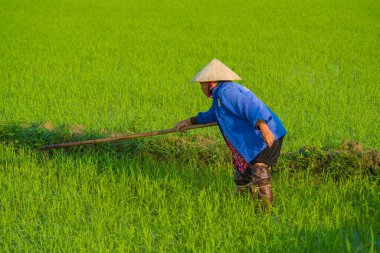 Vietnam. Hoi An. Şehrin güzel bir manzarası.