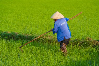 Vietnam. Hoi An. Şehrin güzel bir manzarası.
