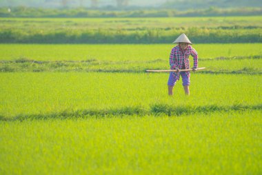 Vietnam. Hoi An. Şehrin güzel bir manzarası.