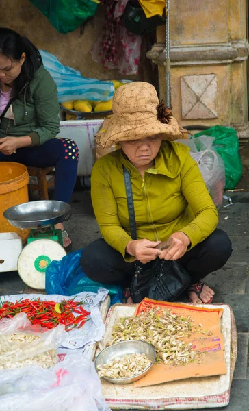 Vietnam Hoi Ein Schöner Blick Auf Die Stadt — Stockfoto