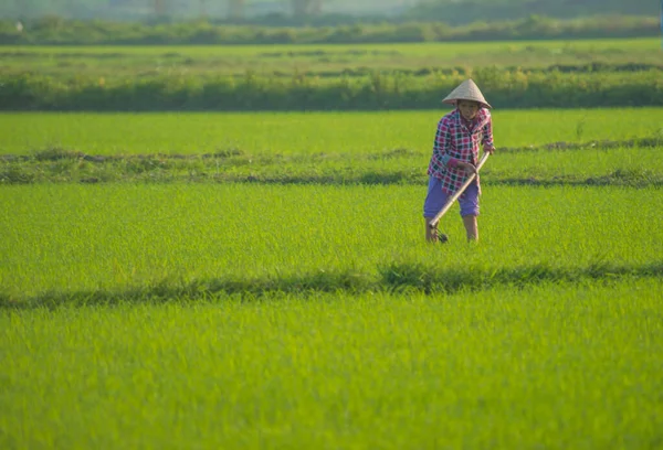 Vietnam Hoi Una Splendida Vista Sulla Città — Foto Stock