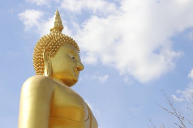 Ayutthaya, Tayland 'daki Altın Buda heykeli