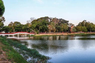 Ayutthaya, Tayland 'daki Budist tapınağının bölgesinde gölet