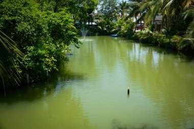 Tayland. Ayutthaya. Baan Thai House Oteli.