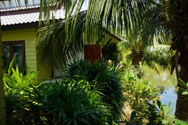 Tayland. Ayutthaya. Baan Thai House Oteli.