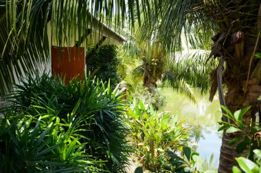 Tayland. Ayutthaya. Baan Thai House Oteli.