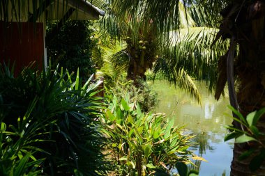 Tayland. Ayutthaya. Baan Thai House Oteli.