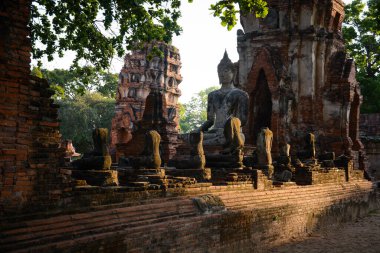 Tayland. Ayutthaya. Wat Mahathat tapınağı.