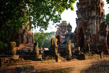 Tayland. Ayutthaya. Wat Mahathat tapınağı.