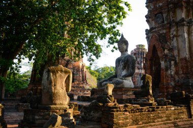 Tayland. Ayutthaya. Wat Mahathat tapınağı.