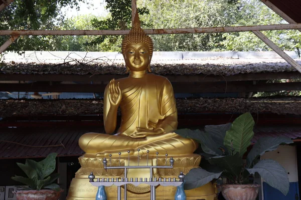 Ayutthaya Tayland Daki Altın Buda Heykeli — Stok fotoğraf