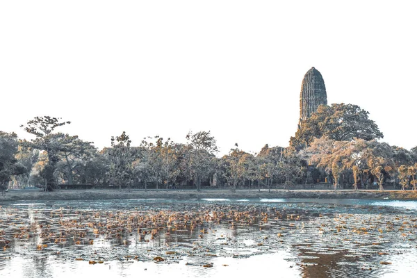 Stagno Nel Tempio Buddista Ayutthaya Thailandia — Foto Stock