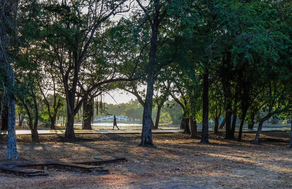 Territorium Architectuur Van Tempel Chiang Mai Thailand — Stockfoto