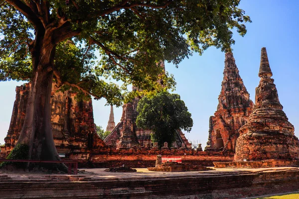 Thaiföld Chiang Mai Vagyok Wat Chedi Luang Templom — Stock Fotó