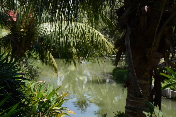 Tailandia Ayutthaya Baan Thai House Hotel — Foto de Stock