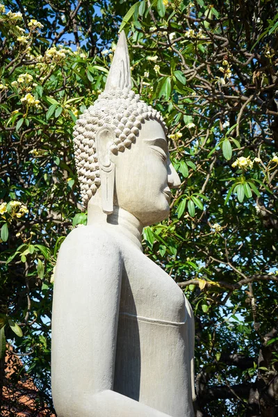 Thaïlande Ayutthaya Une Vue Temple Wat Yai Chai Mongkhol — Photo
