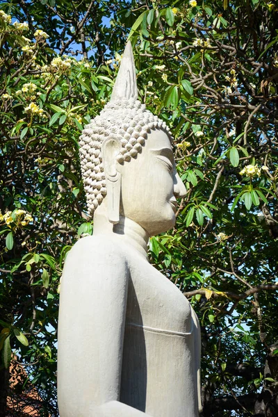 Thaiföld Ajutthaja Kilátás Wat Yai Chai Mongkhol Templomra — Stock Fotó