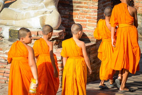 Tayland Ayutthaya Wat Yai Chai Mongkhol Tapınağı Manzarası — Stok fotoğraf