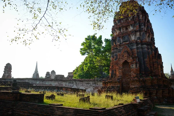Thailandia Ayutthaya Wat Mahathat Tempio — Foto Stock