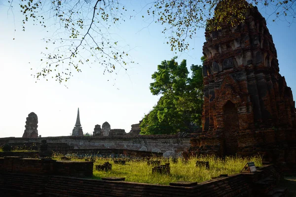 Thaiföld Ajutthaja Wat Mahathat Templom — Stock Fotó