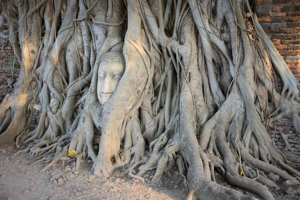 Tailândia Ayutthaya Templo Wat Mahathat — Fotografia de Stock